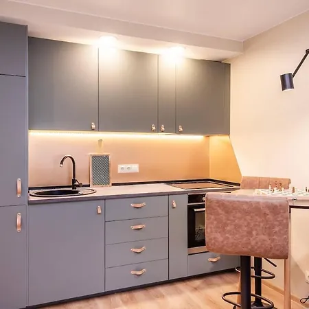 Cozy Flat In Antakalnis Lägenhet *