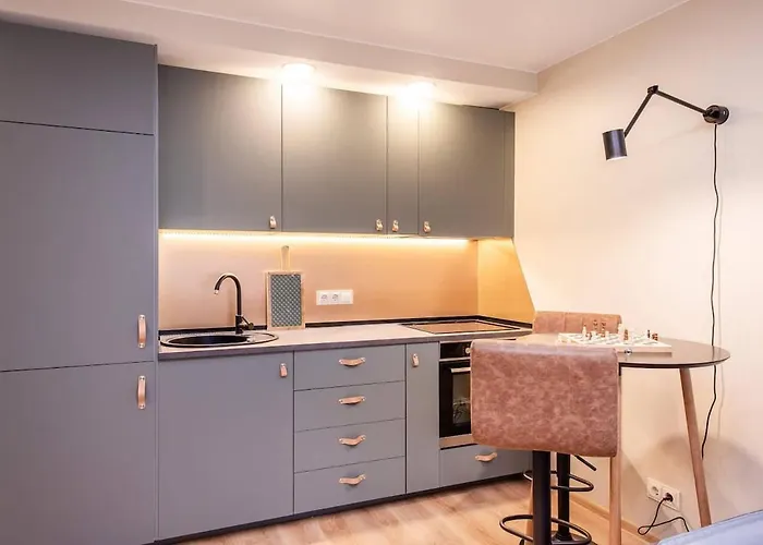 Cozy Flat In Antakalnis Apartman *